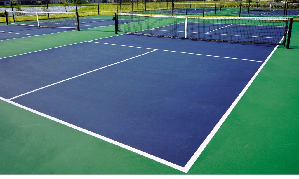 The PickleNet Deluxe pickleball net